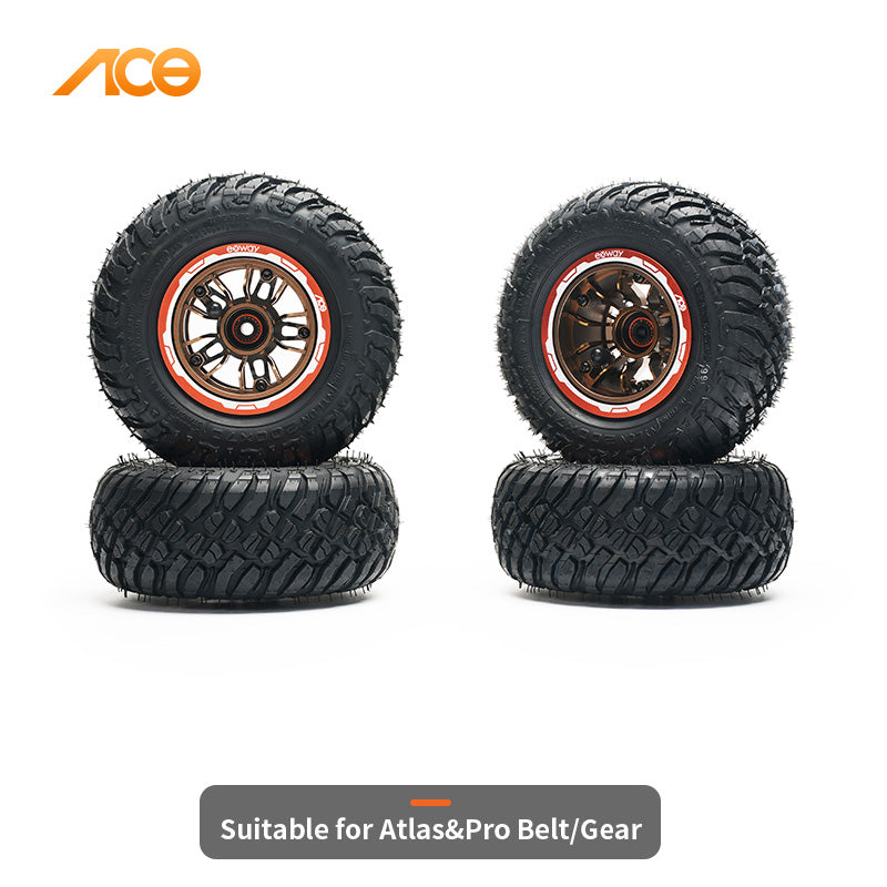 ExwayxCST ACE Professional 200mm Off-Road Mountain Tire